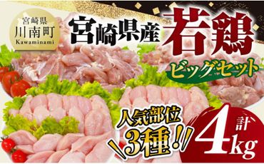 【 小分け 】 宮崎県産 若鶏 4kg ビッグ セット 【 もも むね ささみ セット 鶏肉 とり肉 ごはん 料理 大容量 】[D11613]