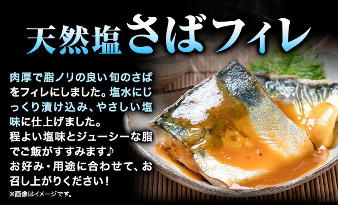 甘口塩銀鮭切身4切＆天然塩さばフィレ4枚 小分け 魚鶴商店《90日以内に出荷予定(土日祝除く)》和歌山県 日高町 甘口塩銀鮭 銀鮭 鮭 さけ 切り身 塩さば 鯖 さば フィレ---wsh_fhuo6_90d_25_13000_4p---