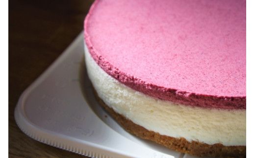 【築上町産ブルーベリー使用】 ブルーベリー ヨーグルト ムース ケーキ《築上町》【(有)工房よしかわ】 国産 ブルーベリー [ABAK002]