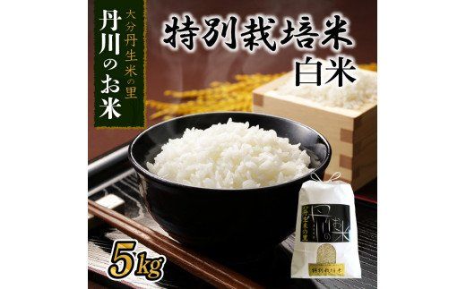 【B01019】特別栽培米ぴかまる白米 5kg