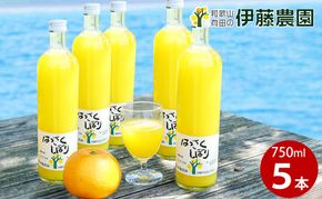 607.伊藤農園 100％ピュアジュース　はっさくしぼり 大瓶5本セット(A607-2)