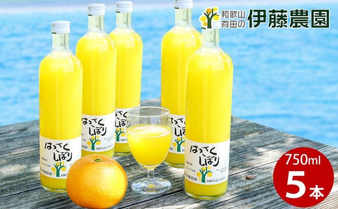ya̎RLcsz607.ɓ_100sAW[X͂ڂ750ml×5{iA607-2j