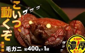 【令和7年発送】三陸産！活毛ガニ(400g×1杯(1尾))【2025年2月〜4月発送】【配送日指定不可】【0tsuchi00555】【08】