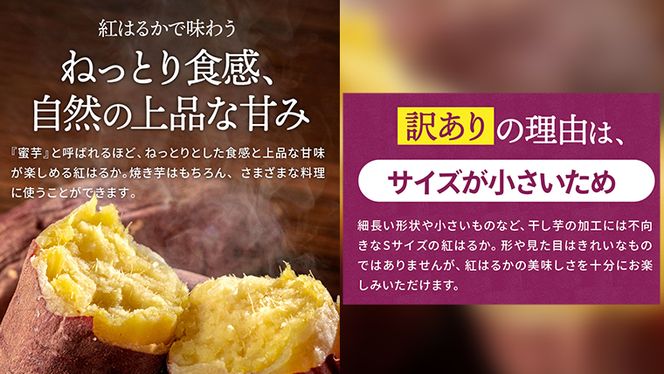 訳あり さつまいも 5kg 小さめ 無選別 （茨城県共通返礼品：行方市） 茨城県 行方市 サツマイモ さつま芋 お徳用 [EA01-NT]