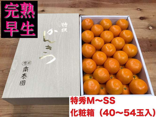 頒布会 有田かんきつ 定期便 7ヶ月間 南泰園 みかん  BS802