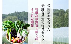 【定期便】2026年6月発送開始 野菜5種5品6ヶ月定期便 /// 奈良県 野菜 野菜セット 定期便 核家族 小さめセット 月1配送 予約 おすすめ 野菜定期便