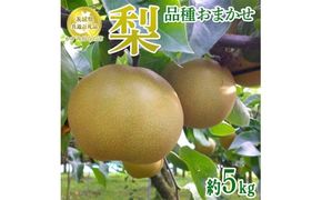 茨城県産 梨【品種おまかせ】約5kg【茨城県共通返礼品　かすみがうら市産】※2025年9月中旬～2026年1月下旬頃に順次発送予定 ※離島への配送不可