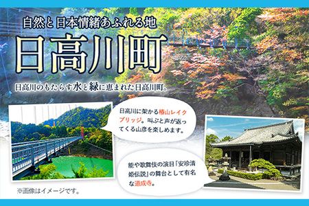 日高川町内の観光施設で利用できる「利用券」3,000円(500円券×6枚) 株式会社フラット・フィールド・オペレーションズ 日高川町事業所 (きのくに中津荘)《30日以内に出荷予定(土日祝を除く)》  和歌山県 日高川町 観光施設 利用券---iwshg_kfknkr_30d_23_12000_6i---