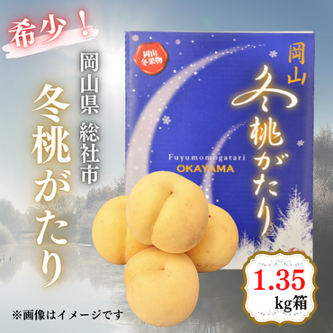 白桃「冬桃がたり（1.35kg箱）」岡山県総社市産【2024年産先行予約】 24-037-002