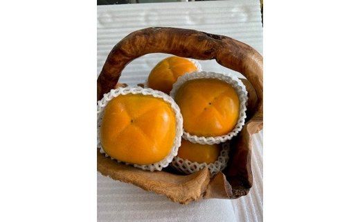 たねなし柿 赤秀品 Lサイズ 化粧箱（13～15個入） CC36