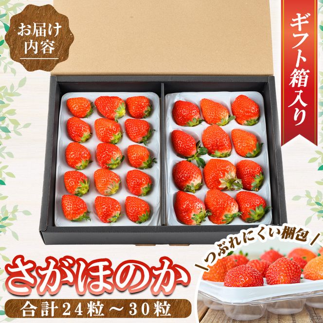 a881 ＜先行予約受付中！2026年2月上旬～3月下旬に発送予定＞ いちご・さがほのか(合計24粒～30粒)【佳農園】国産 鹿児島県産 苺 イチゴ フルーツ 果物 くだもの ギフト 贈答用