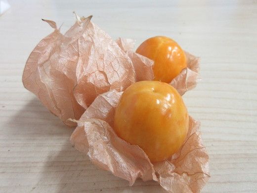 鬼あかり（ほおずき）120g×4パック ｜ 鬼灯 ホウズキ 特産品 ジャム フルーツ 愛媛県 鬼北町 ※2027年3月～発送