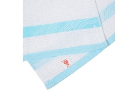 010B036 オーラフェイスタオル 10枚【泉州タオル 国産 吸水 普段使い シンプル 日用品】