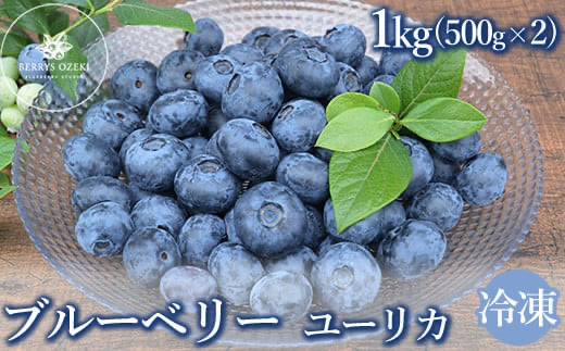 冷凍　最短3日発送　ユーリカ　1kg（500g×2) ブルーベリー ※離島への配送不可 ※着日指定不可