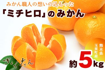 ぎょくだん『ミチヒロ』のみかん★約5kg(サイズ混合) 予約受付中 フルーツ 秋 旬★熊本県玉名郡玉東町『熊本・玉東、玉東町段々畑男子団。』みかん ぷらっとぎょくとう[10月下旬-1月下旬出荷]---sg_michimikan_p101_24_11500_5kg---