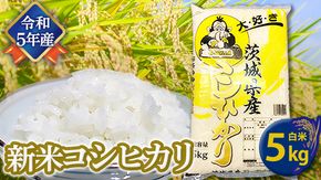 【令和5年産】 コシヒカリ 白米 5kg 米 お米 コメ おいしい 茨城県産 精米 国産 ブレンド 白米 こしひかり [AO21-NT]