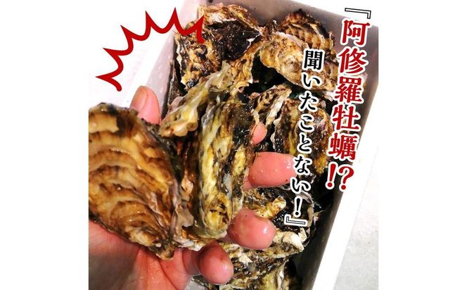 【予約：2026年10月中旬から順次発送】サロマ湖産 海のミルク 阿修羅牡蠣 3kg ( 期間限定 新鮮 生食 生ガキ カキ かき 3キロ 道産 オホーツク海産 海鮮 魚介類 貝類 生 )【031-0014-2026】