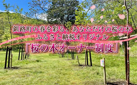 北海道釧路町の桜の木(1本)のオーナー権及びオーナー証＜植樹開催＆プレートお届け時期：2025年5月ごろ＞ ふるさと納税 桜 さくら 自然 保護 植樹体験 体験 北海道 先行予約 結婚 誕生 就職 退職 記念 想い出　121-1921-190