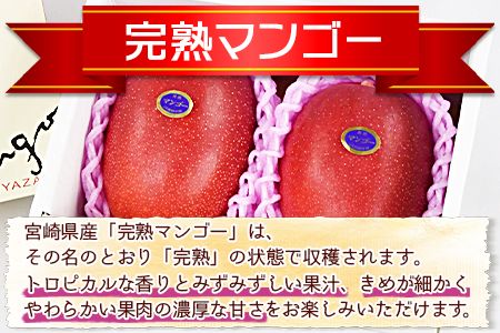 宮崎県産 完熟マンゴー B等級 3Lサイズ×2玉（合計約900g）＞2024年4月