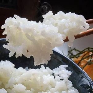 【令和7年産】新米 先行予約 5kg ×12回 京都・神前米 キヌヒカリ 5kg×12ヶ月 計60kg ☆精米したてをお届け ※2025年9月下旬以降順次発送 ≪減農薬 自家栽培米 生産農家 直送 米 精米 クリーン白米≫