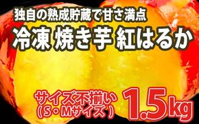 K1947 【数量限定】サイズ不揃い さつまいも 熟成 紅はるか 冷凍 焼き芋 1.5kg