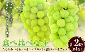 【先行予約】食べ比べセット たたらみねらる シャインマスカット 瀬戸ジャイアンツ 各1房 1.3kg以上《2026年8月下旬-10月下旬頃出荷予定》岡山県 笠岡市 マスカット ぶどう ブドウ 葡萄 フルーツ 果物 たたらみねらる 食べ比べ セット---2-23a---