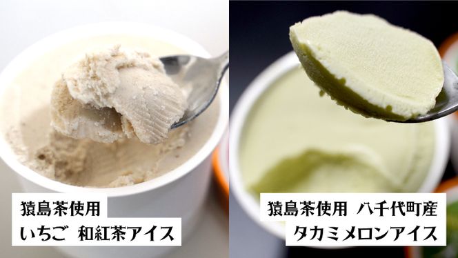 猿島茶使用 アイス 8個入 詰め合わせ ( いちご 和紅茶 / タカミメロン ) 各4個 あいす ふるさと納税 ギフト スイーツ お菓子 お祝い [AF103ya] 