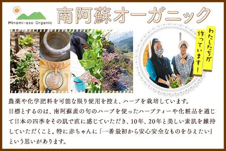 南阿蘇オーガニック 旬の野菜セット10種類以上詰め合わせ《30日以内に出荷予定(土日祝除く)》熊本県 南阿蘇村 野菜 カブ ビーツ サニーレタス クレソン ブロッコリー 水前寺菜 ほうれん草２種 チンゲン菜 春菊 スイスチャード---sms_cmoyasai_30d_r7_15000_10i---