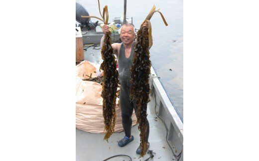 国東半島の天然お刺身わかめ（1㎏）_051Z