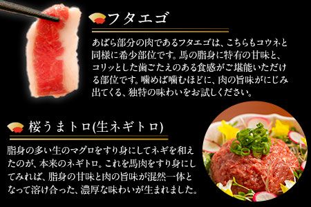 贅沢バラエティセット 540g 千興ファーム 馬肉 冷凍 《60日以内に出荷予定(土日祝除く)》 新鮮 さばきたて 生食用 肉 熊本県御船町 馬刺し 馬肉 惣菜 希少部位---sm_fsenzibr_60d_23_13500_540g---