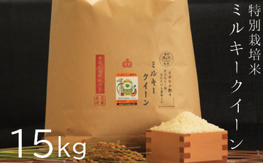 【令和5年産】特別栽培米 ミルキークイーン 15kg 《築上町》【Nouhan農繁】 米 白米 お米 [ABAU021]