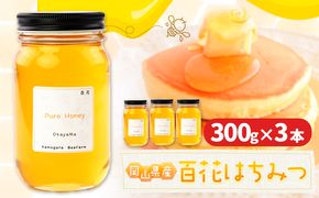 はちみつ 蜂蜜 百花 300g 3本 かもがた養蜂 《30日以内に出荷予定(土日祝除く)》 岡山県 浅口市 送料無料 ハチミツ 百花蜜 百花はちみつ 岡山県産---124_364_30d_23_17500_3---