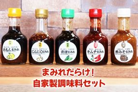 まみれだらけ！自家製調味料セット｜おかず お取り寄せグルメ 焼肉 レモン ニンニク 青唐辛子 国産 [0417]