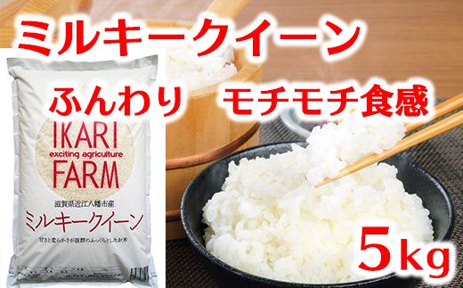 [6年産]ふっくら&もっちり!「ミルキークイーン」白米5kg[C042U]