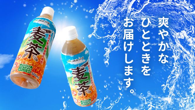 【 3ヶ月 定期便 】  JA北つくば JGAP認証 麦茶 1箱 ( 500ml × 24本 ) JGAP JA お茶 茶 ペットボトル 麦 大麦 二条大麦 ノンカフェイン カフェインゼロ [AE021ci]