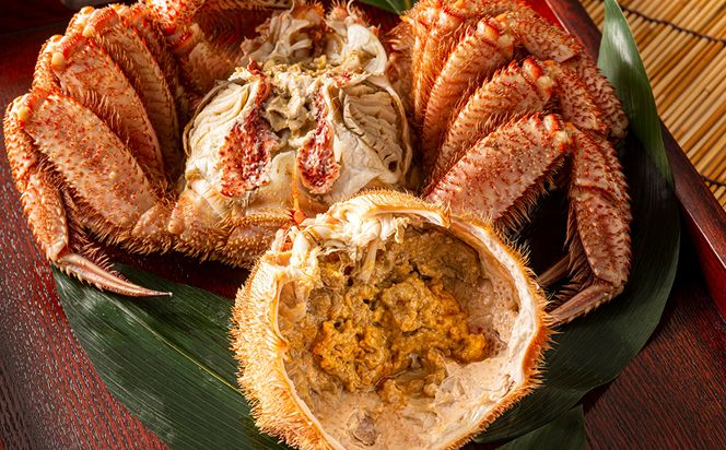 特大サイズ！冷凍毛がに約800g×1尾【斉藤水産】 AM147