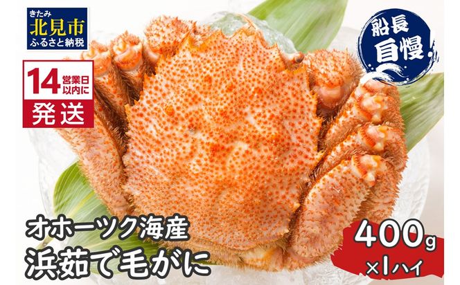 《14営業日以内に発送》オホーツク海産 浜茹で毛がに 400g×1パイ 冷凍 ( かに カニ 毛ガニ 魚介類 蟹 )【114-0012-2024】