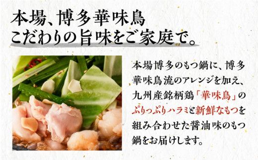 【全12回定期便】博多華味鳥 博多もつ鍋 鶏はらみ セット 3~4人前 《築上町》【トリゼンフーズ】博多 福岡 鍋 鶏 もつ もつ鍋[ABCN017]