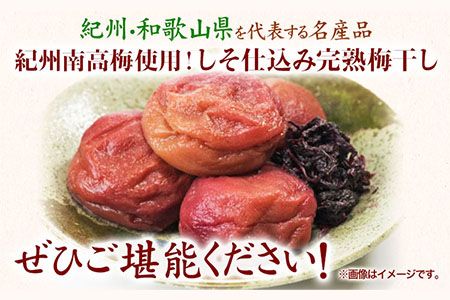 紀州南高梅使用 しそ仕込み完熟梅干し800g 厳選館 《90日以内に出荷予定(土日祝除く)》 和歌山県 日高川町 紀州南高梅 梅干し しそ仕込み---wshg_tmt183_90d_24_14000_1p---