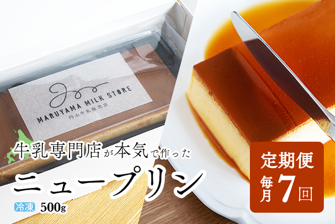 【定期便】濃厚プリン　New Pudding（ニュープディング）（500g×1本）×7ヶ月【be152-0931-100-7】