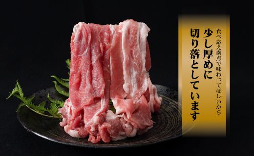 DM028  幻の銘柄豚 富士湧水ポーク 切り落としと挽肉のガッツリ盛りセット 4.0kg