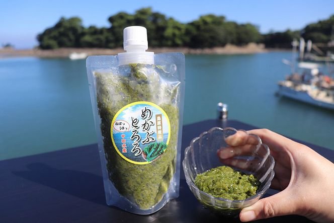 AE298 有明海産 無添加めかぶとろろ（250g×10パック）（長崎県