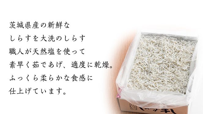 茨城県産 しらす干し 1kg ( 共通返礼品：茨城県 大洗町 ) シラス干し しらす シラス 業務用 冷凍 魚介 海鮮 しらす丼 離乳食 箱 [DD001us]