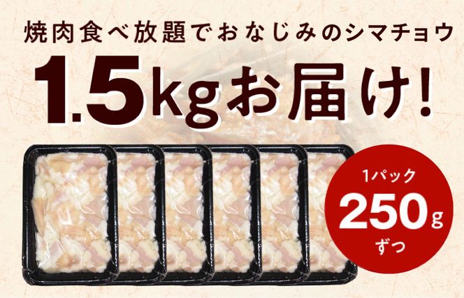 010B1516 【焼肉屋の定番】シマチョウ 塩だれ漬け 1.5kg【小分け 250g×6 牛肉 ホルモン 焼肉用】