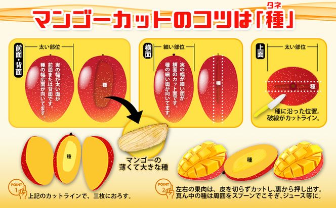 【先行受付】【2024年発送】とうはらマンゴー園の美味しいマンゴー家庭用　約2kg