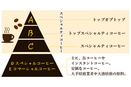 ＜希少豆とブレンドコーヒー＞翌月末迄に順次出荷【c220_el_x2】