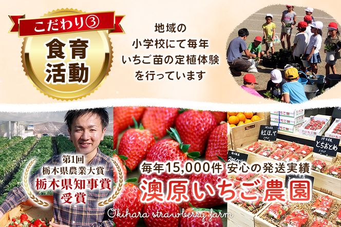 先行予約】澳原いちご農園の完熟朝摘みとちあいか デラックス《1