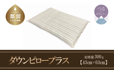 AA017　ダウンピロープラス　羽毛枕（定番サイズ　43ｃｍ×63ｃｍ）　日本製