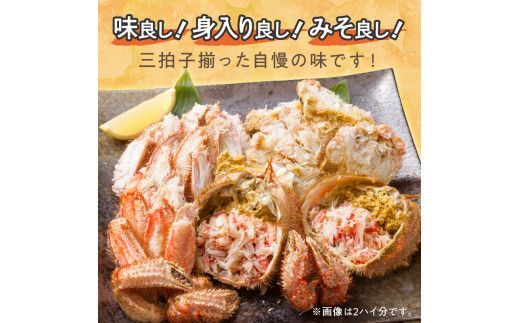 【予約：2026年3月下旬から順次発送】【旬の浜ゆで毛ガニを冷蔵便で】オホーツク海産 浜茹で海明け毛がに 約550g×1パイ 冷蔵 ( かに 蟹 魚介類 海鮮 )【114-0027-2026】