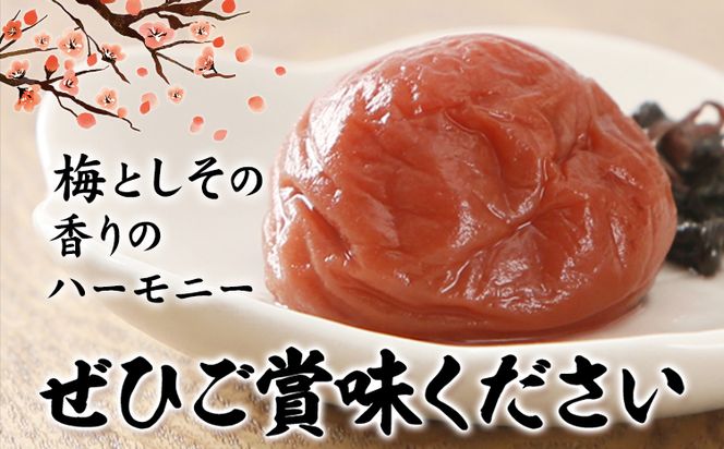 梅干し 甘口しそ梅干し 1kg 選べる 中玉 2L 大玉 3L 和歌山県産 株式会社とち亀物産 《30日以内に出荷予定(土日祝除く)》 和歌山県 日高町 梅 うめ しそ 梅干し うめぼし 紀州南高梅 漬物 漬け物 ごはんのお供---wsh_ttk6_30d_23_15000_as2l---